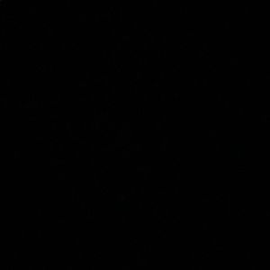 Meet your Posher, Julian